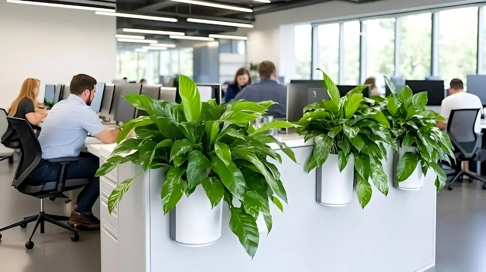 10 Stunning Artificial Plants for Home Dcor That Look Real!  Enutrof Decor