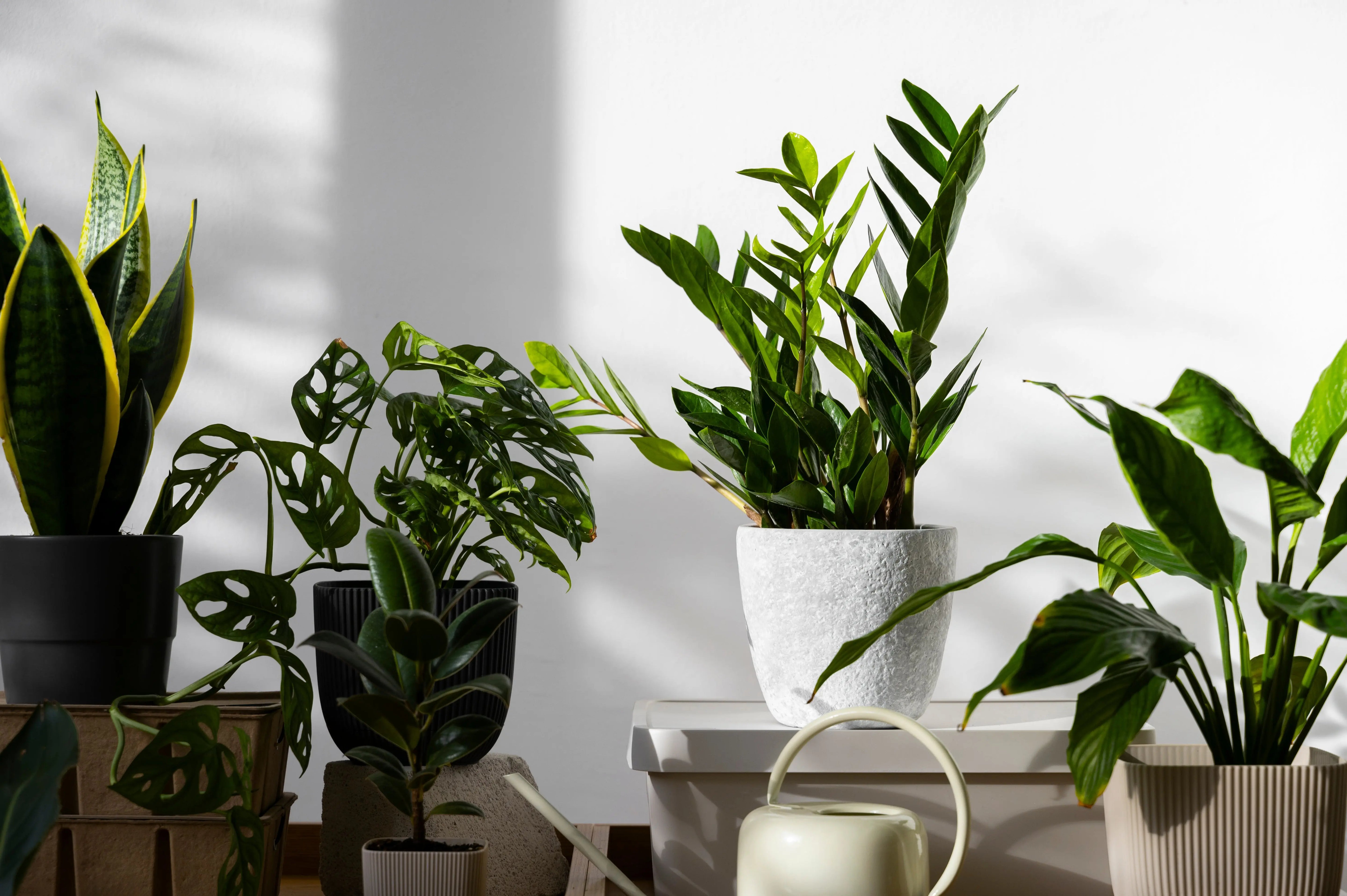 Why-Artificial-Plants-Are-The-Smart-Choice Enutrof Decor