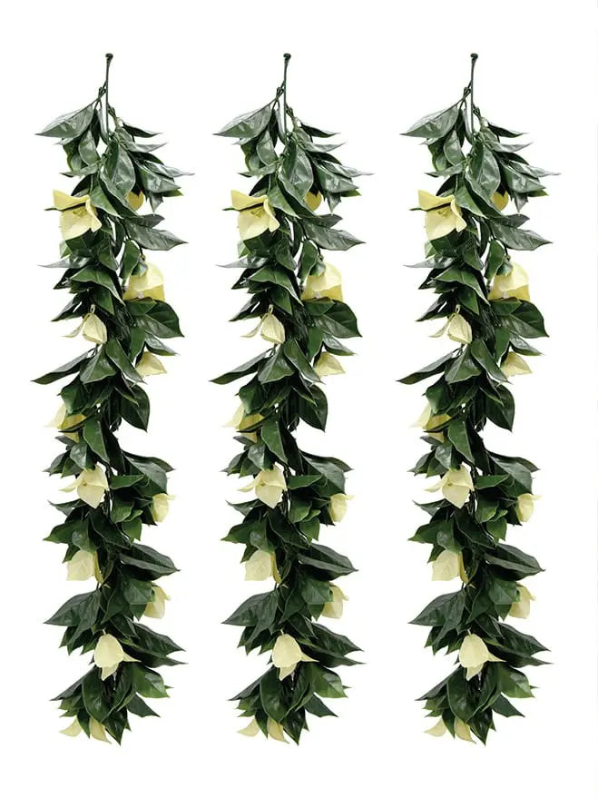 Podocarpus Nagi Hanging Leave (Pack of 3) My Store