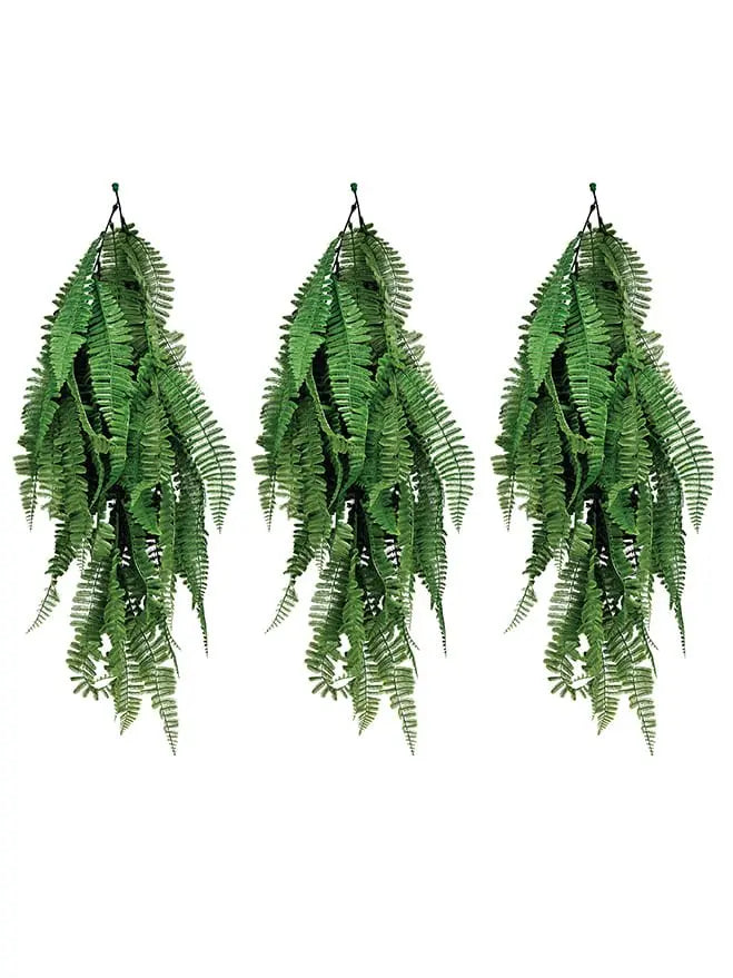 Boston Fern For Decoration (Pack of 3) My Store