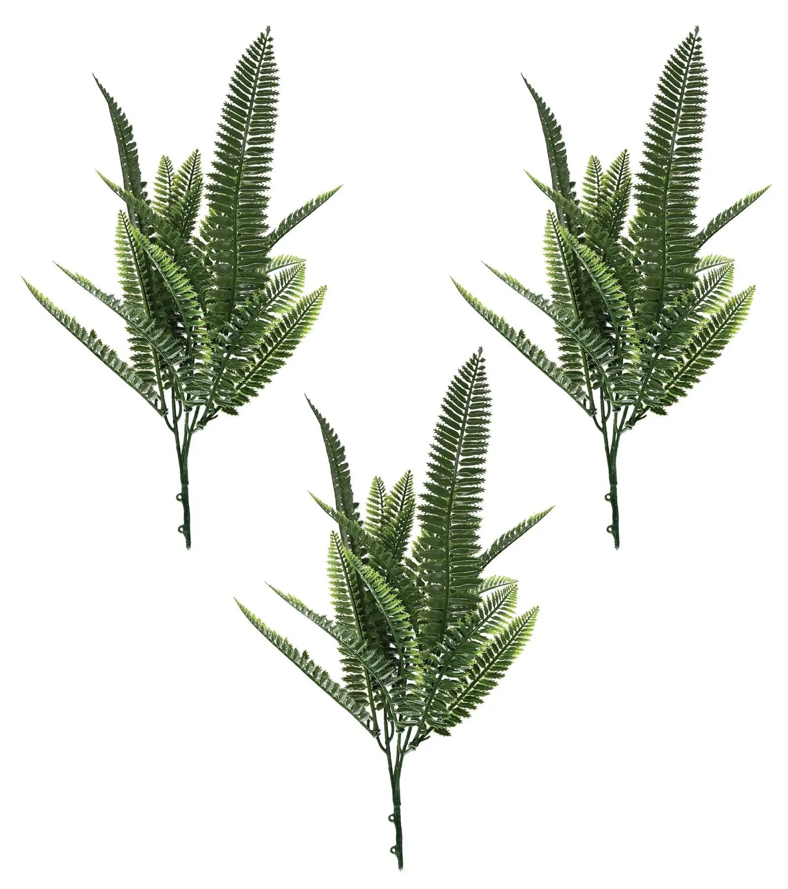 Rubber Green Bush Bunch Plants | Pack of 3 My Store