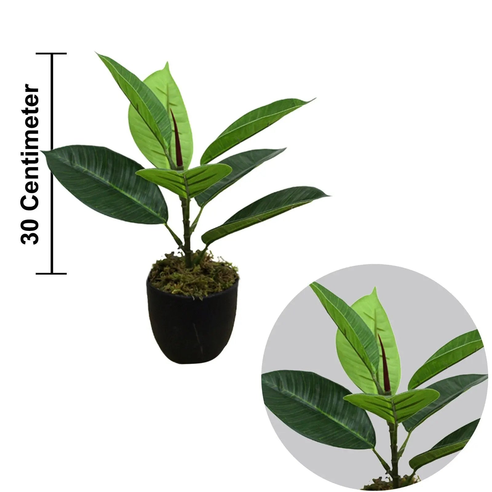 Rubber Real Touch Artificial Plants (Pack of 3, 30 cm) My Store