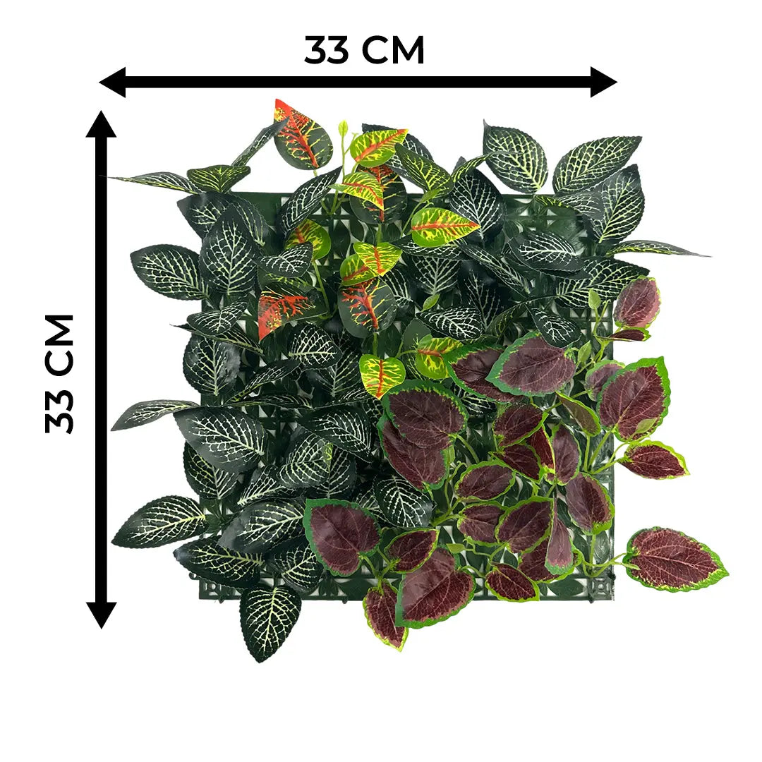 Codiaeum Variegatum Pictum Mix Vertical Garden | Pack of 3 Enutrof Decor
