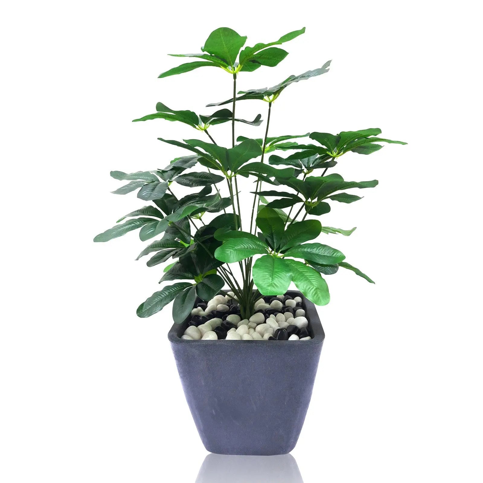 Schefflera Artificial Plant with Pot (52 cm) My Store