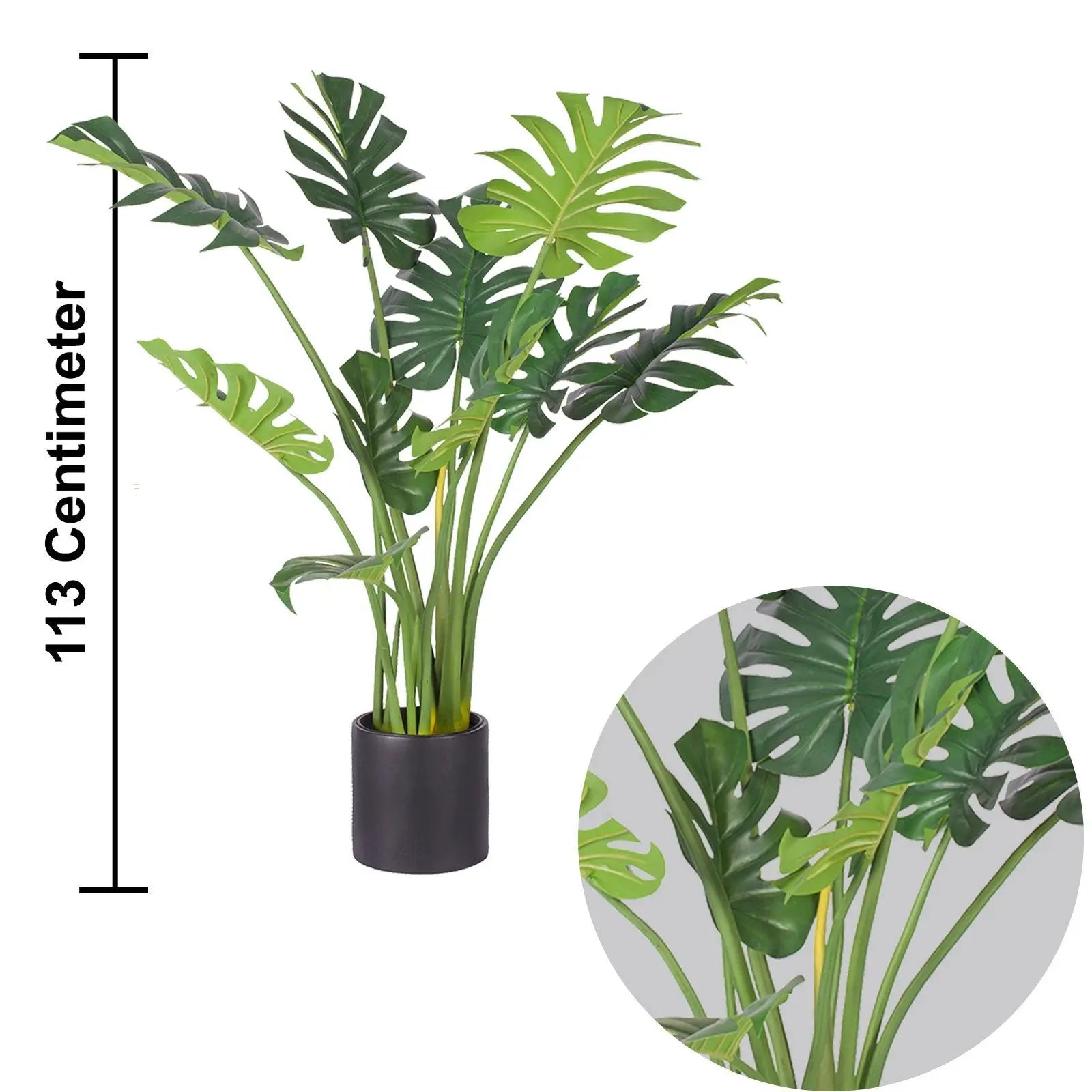 Monstera Bonsai (113 CM) My Store