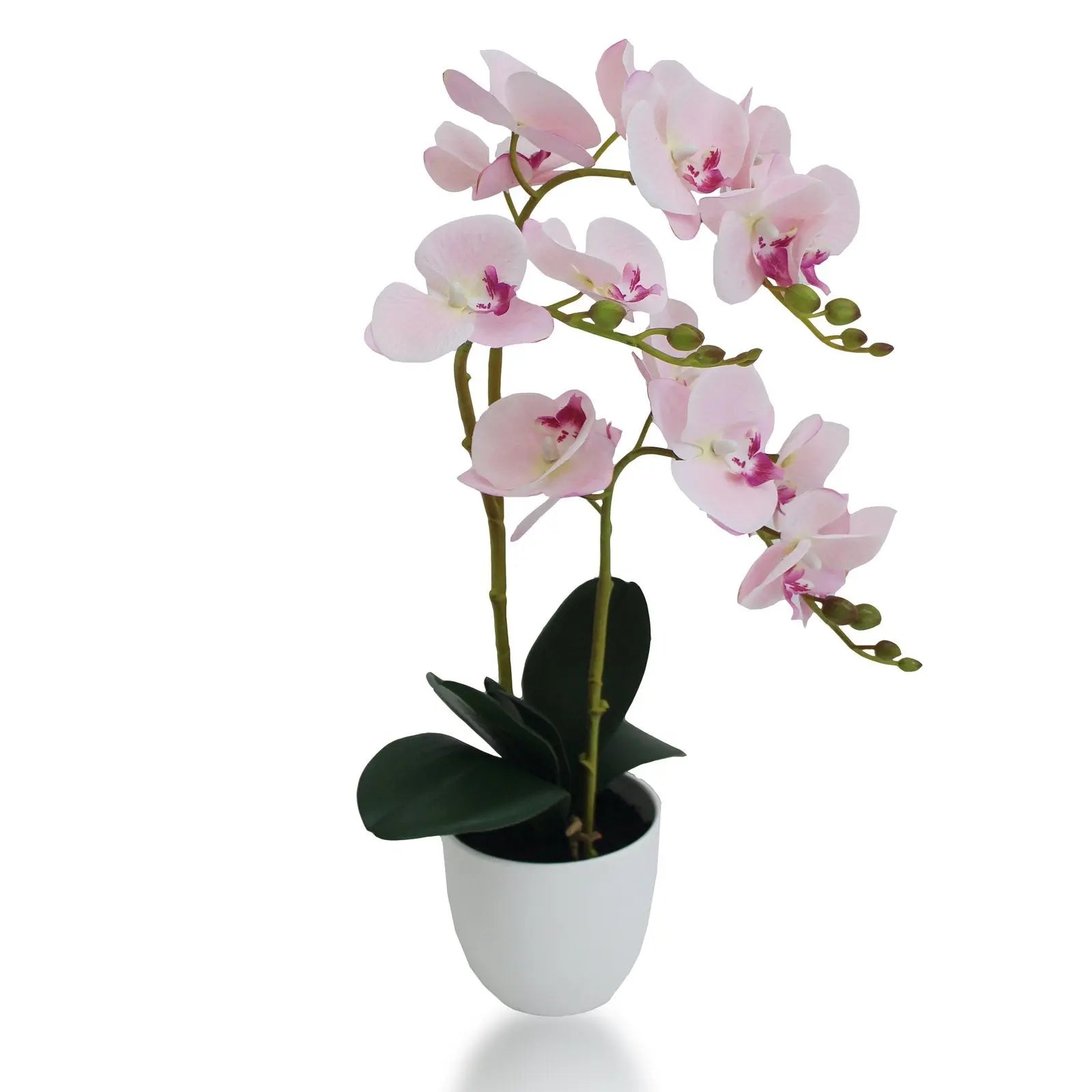 Artificial Orchid Plant With Basic White Pot || 50 CM Height My Store