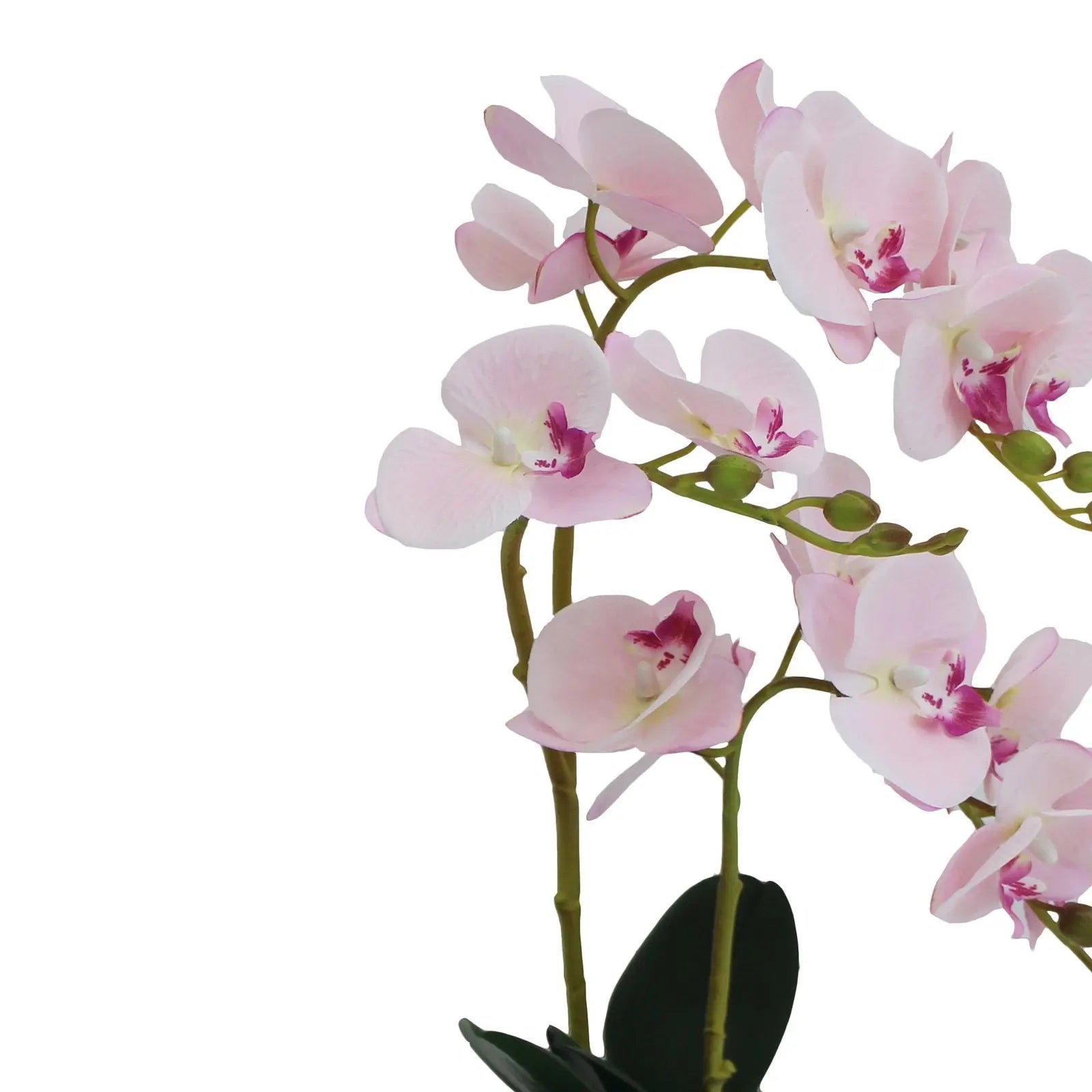 Artificial Orchid Plant With Basic White Pot || 50 CM Height My Store