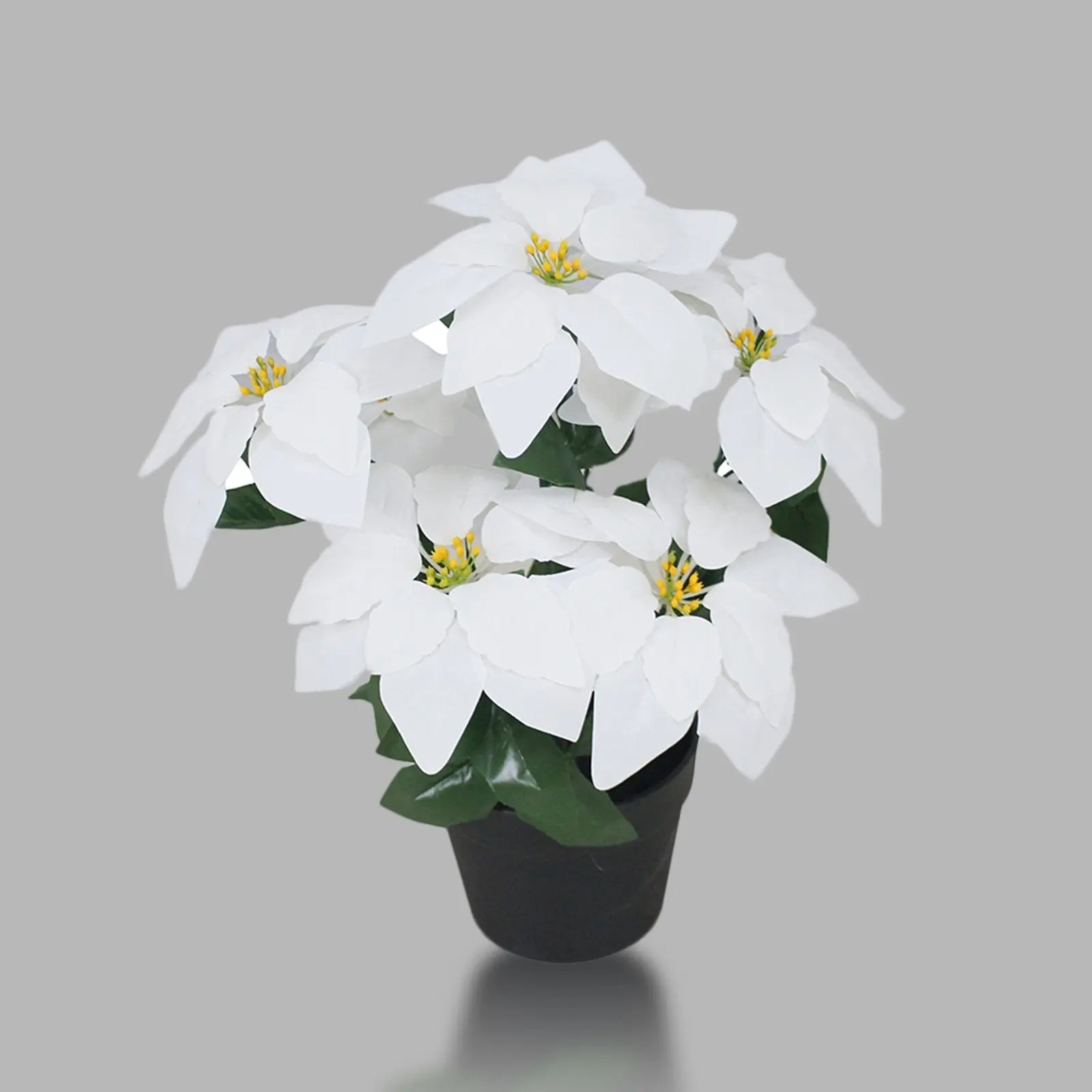 White Poinsettia Artificial Plant (45 cm) with Elegant Decorative Pot My Store