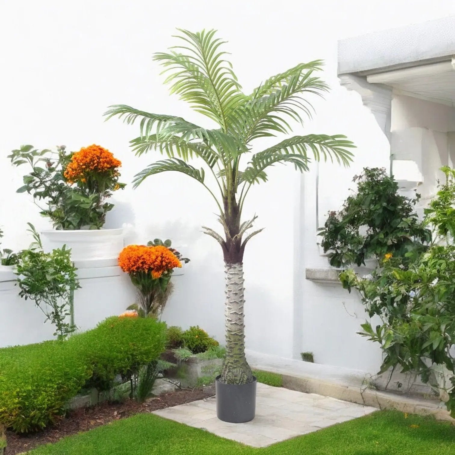 Palm Tree My Store
