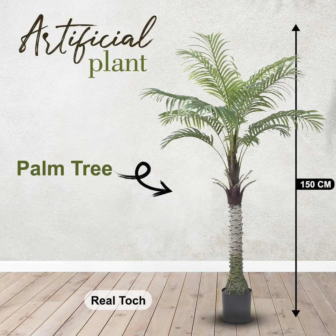 Palm Tree My Store