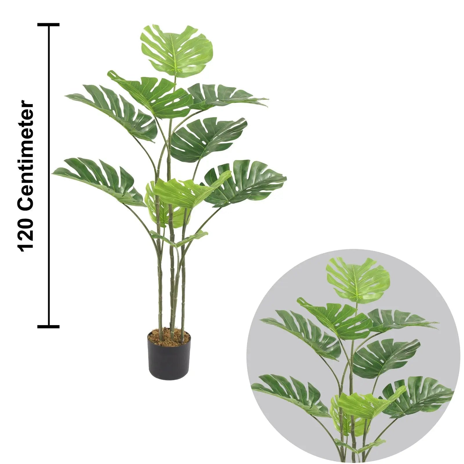 Artificial Monstera Plant Indoor With Basic White Pot || 120cm Height My Store