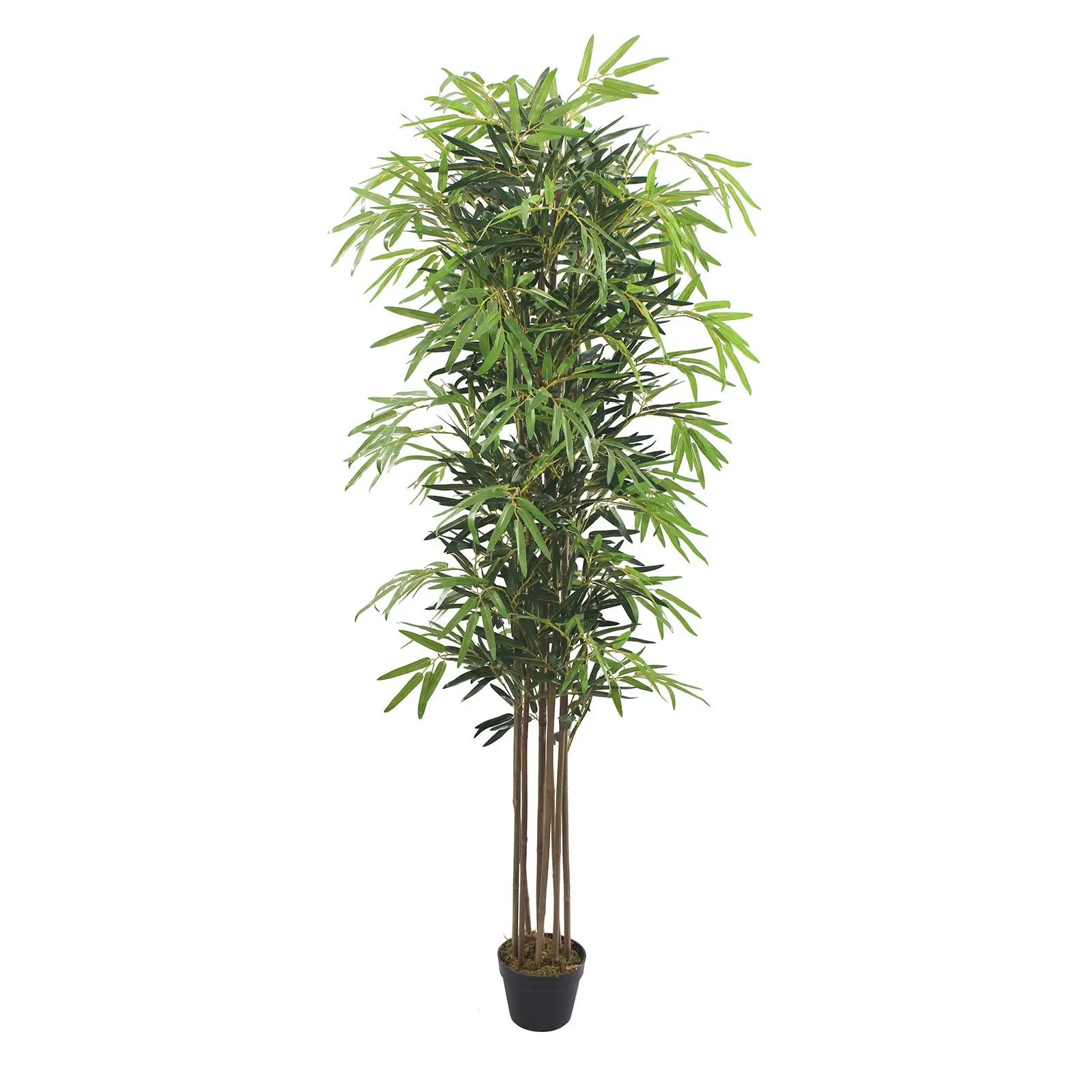 Peva Bamboo Artificial Plant – 180 CM | Indoor Green Bamboo Enutrof Decor