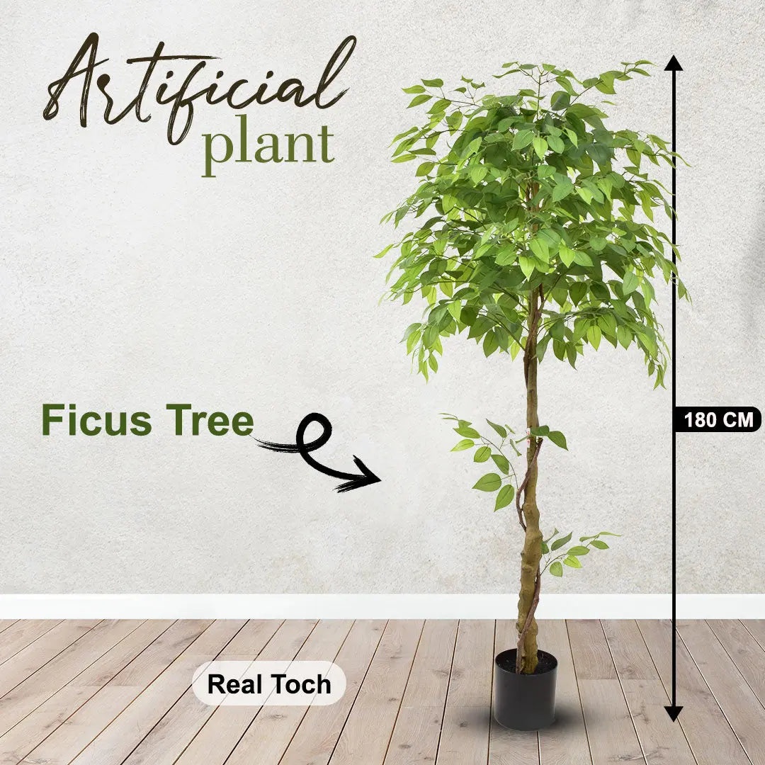 Premium 6ft Artificial Ficus Tree – Lifelike Indoor Decorative Plant (180 cm) Enutrof Decor