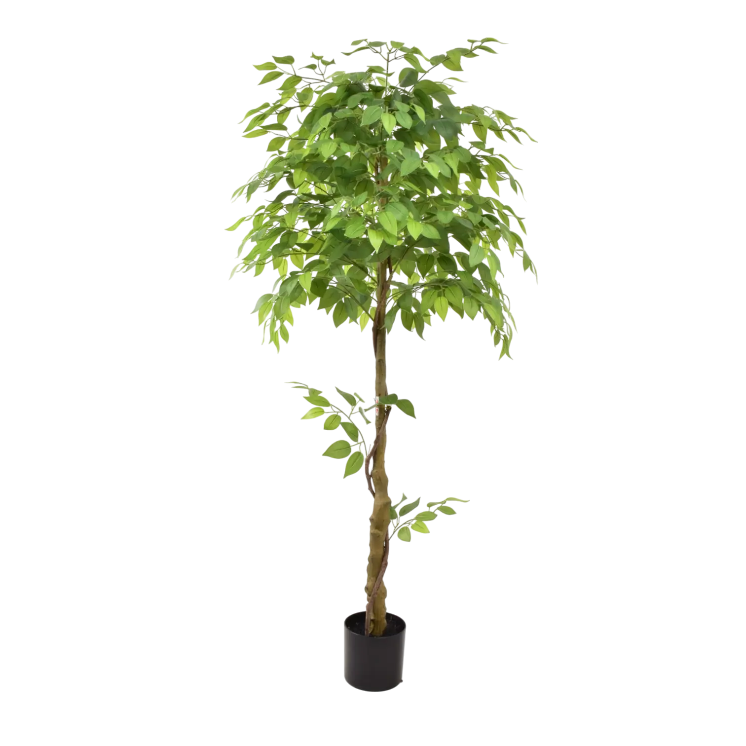 Premium 6ft Artificial Ficus Tree – Lifelike Indoor Decorative Plant (180 cm) Enutrof Decor