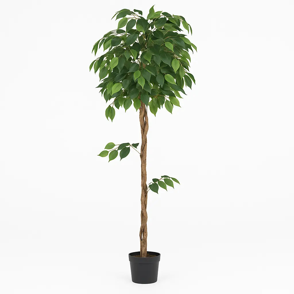 5 ft Artificial Ficus Plant | Realistic Indoor Green Tree Décor Enutrof Decor