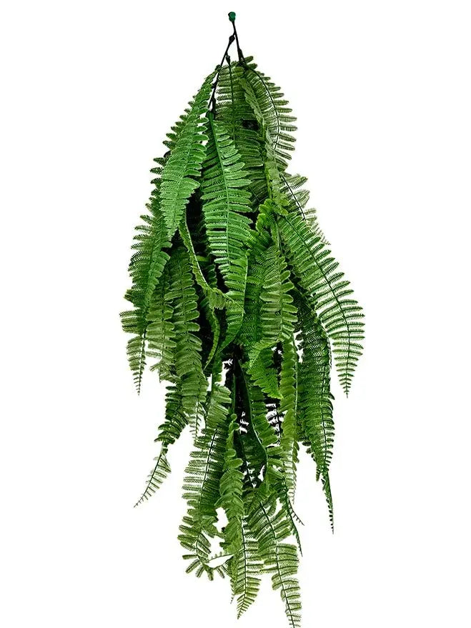 Boston Fern For Decoration (Pack of 3) My Store
