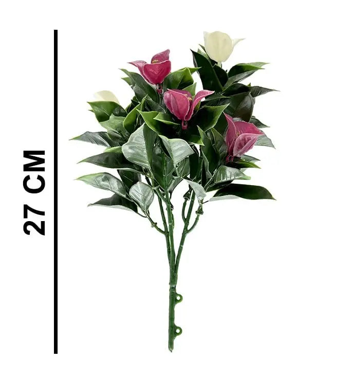 bougainvillea Glabra Plant Bunch | Pack of 3 My Store