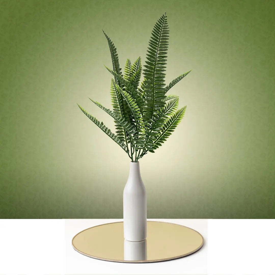 Rubber Green Bush Bunch Plants | Pack of 3 My Store