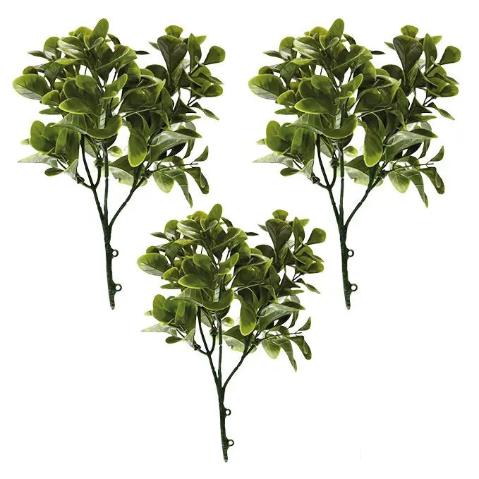 Jade Leaf Pot Plant | Pack of 3 My Store