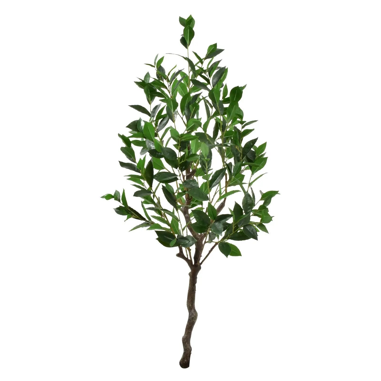 Laurel Artificial plant (120 CM) My Store