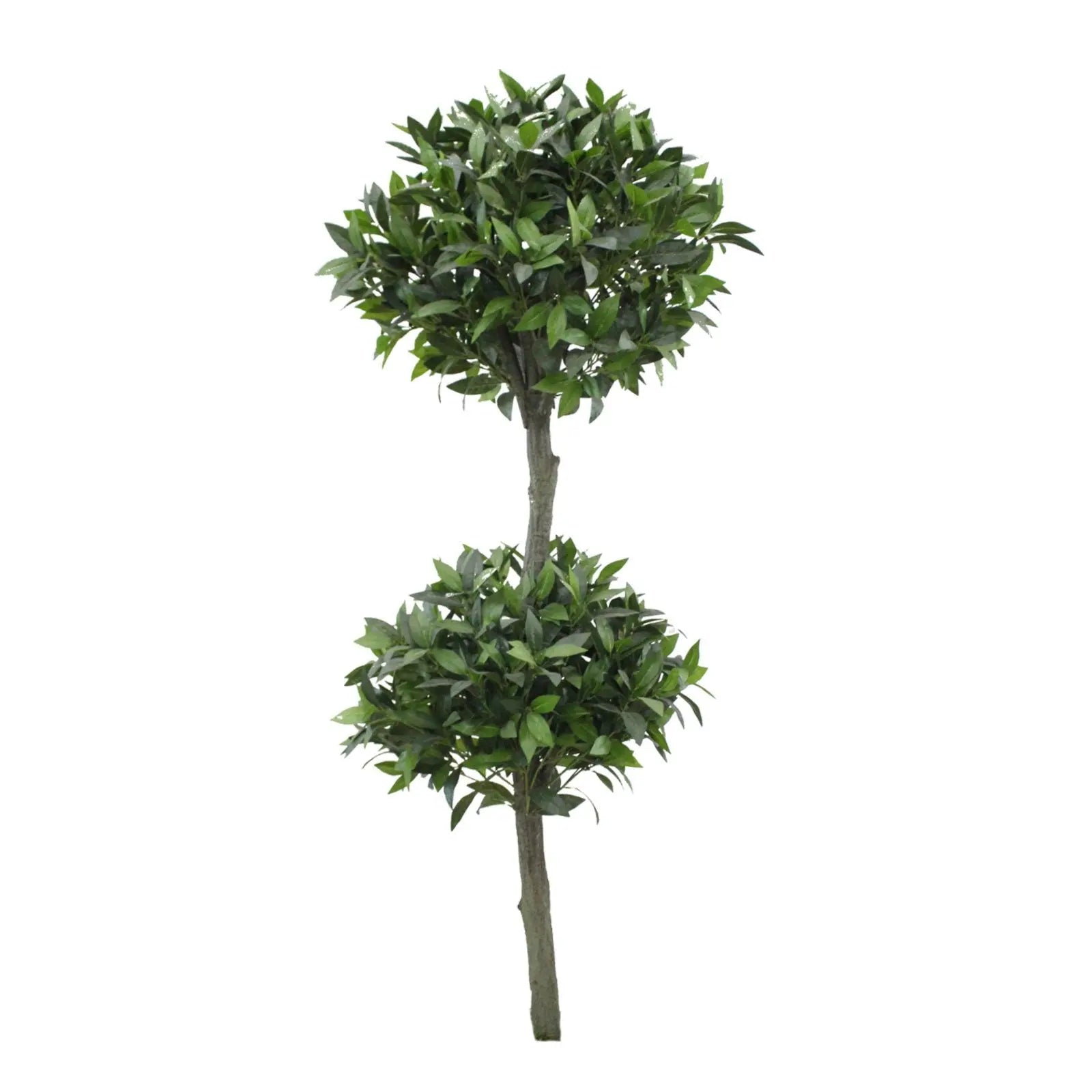 Topiary Bay Tree with Black Pot My Store
