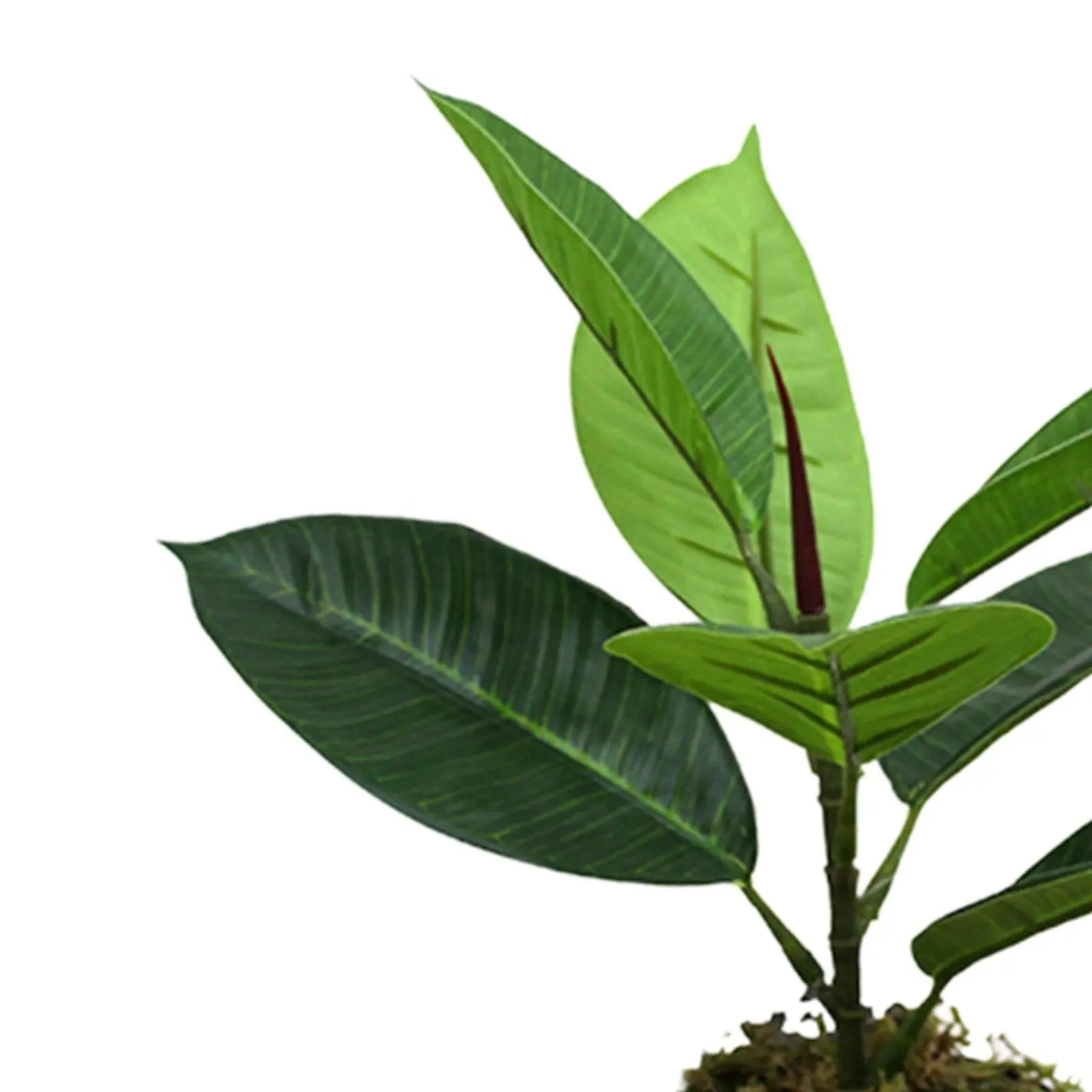 Rubber Real Touch Artificial Plants (Pack of 3, 30 cm) My Store