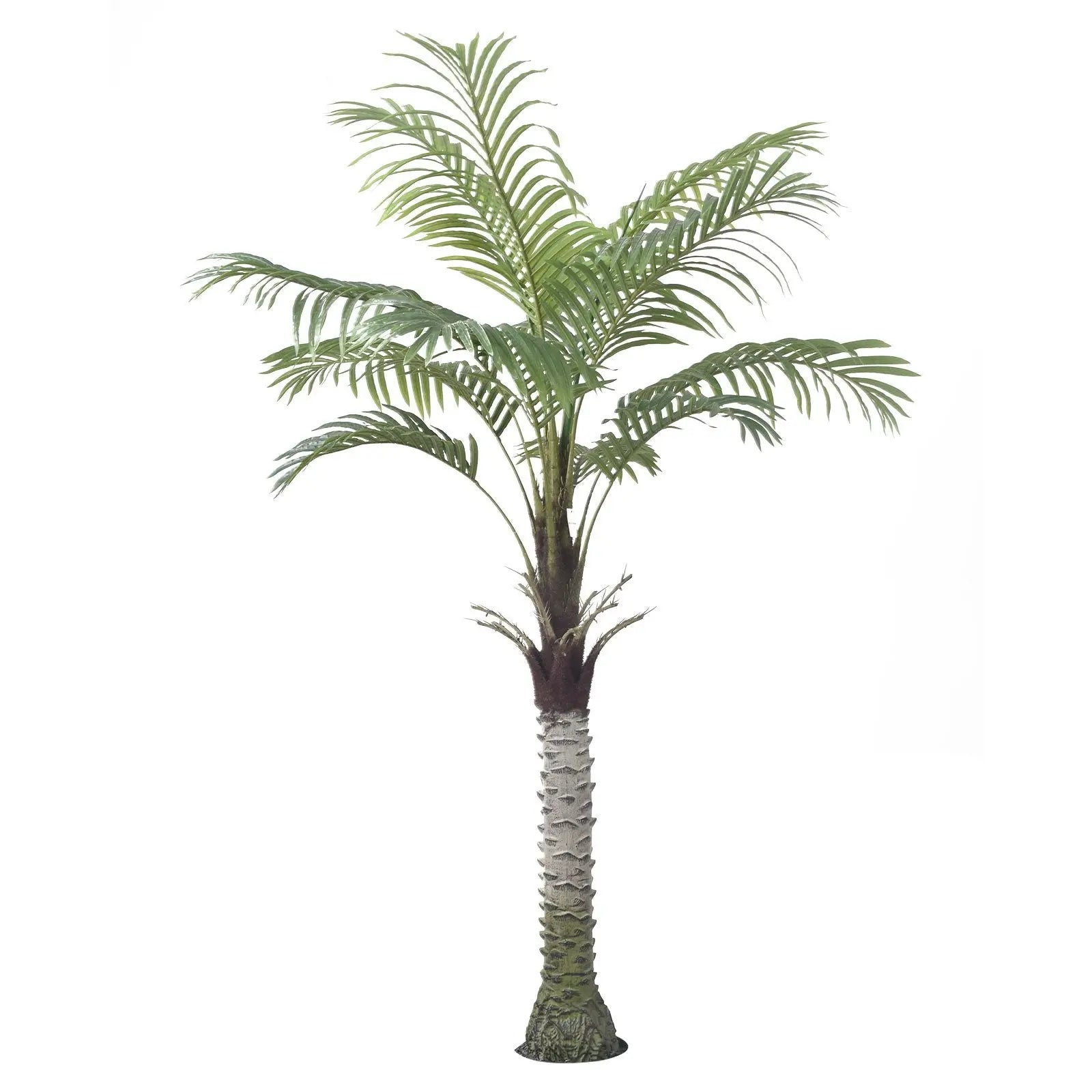 Palm Tree My Store