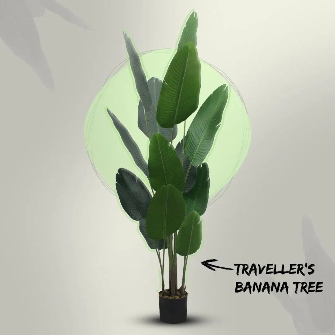 Artificial Banana Tree – 200 CM | Tropical Indoor Greenery Enutrof Decor