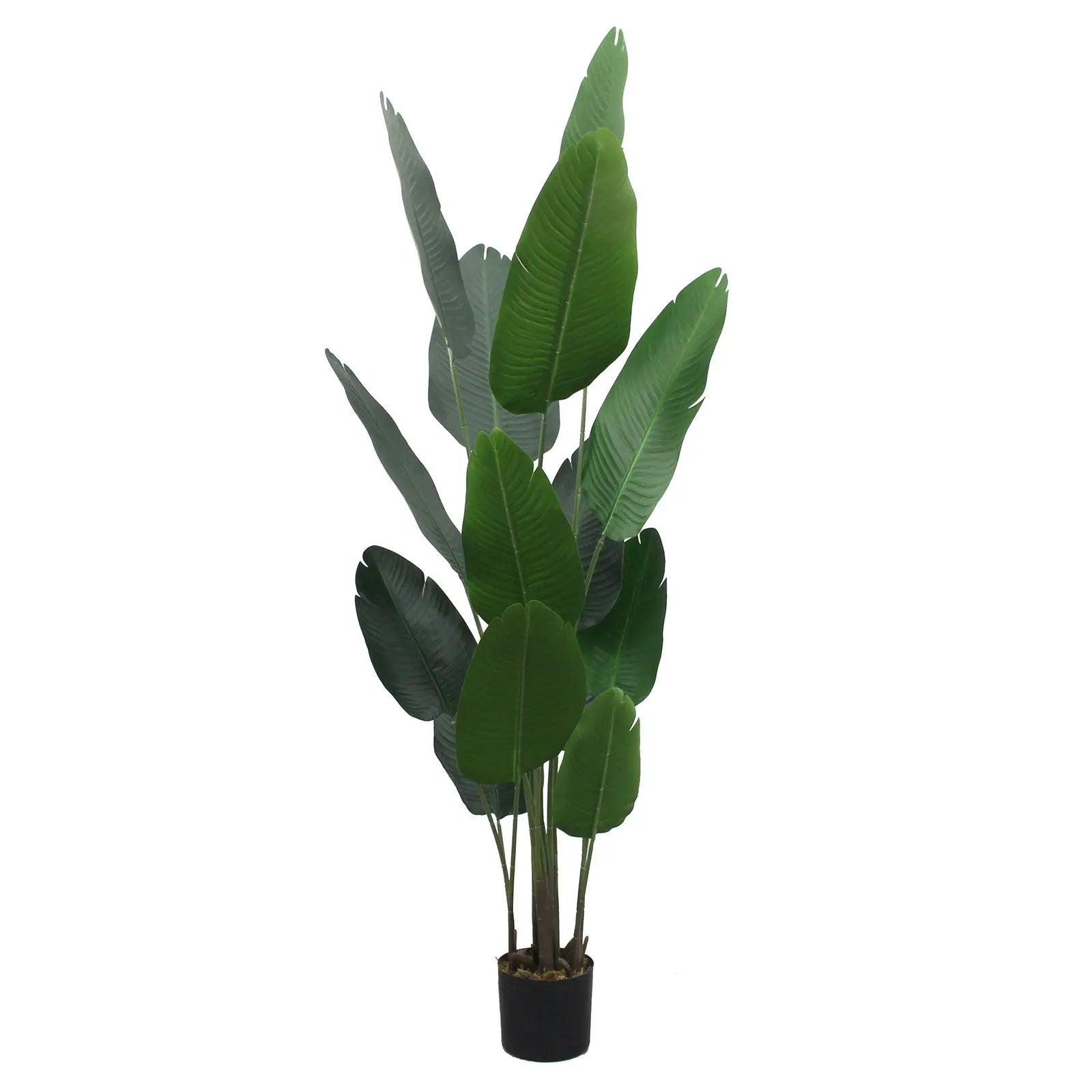 Artificial Banana Tree – 200 CM | Tropical Indoor Greenery Enutrof Decor