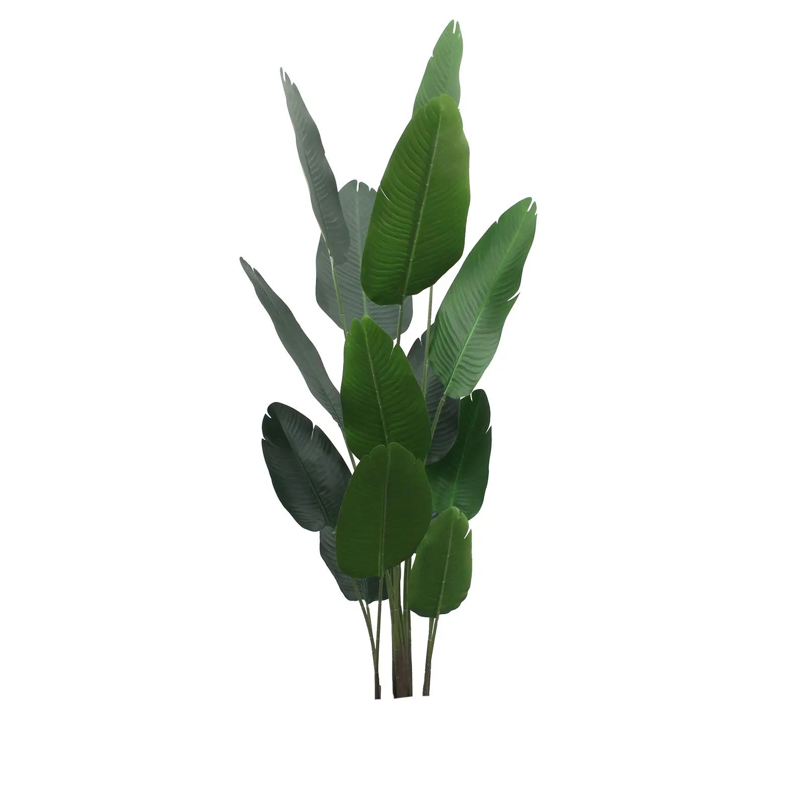 Artificial Banana Tree – 200 CM | Tropical Indoor Greenery Enutrof Decor