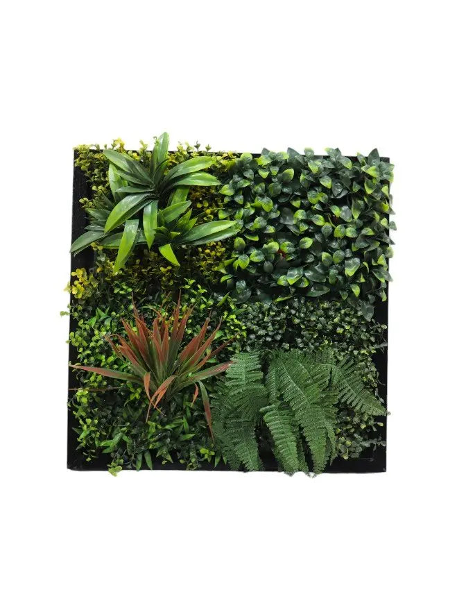 Urban Vertical Forest Frame for Wall (57×57 cm) My Store