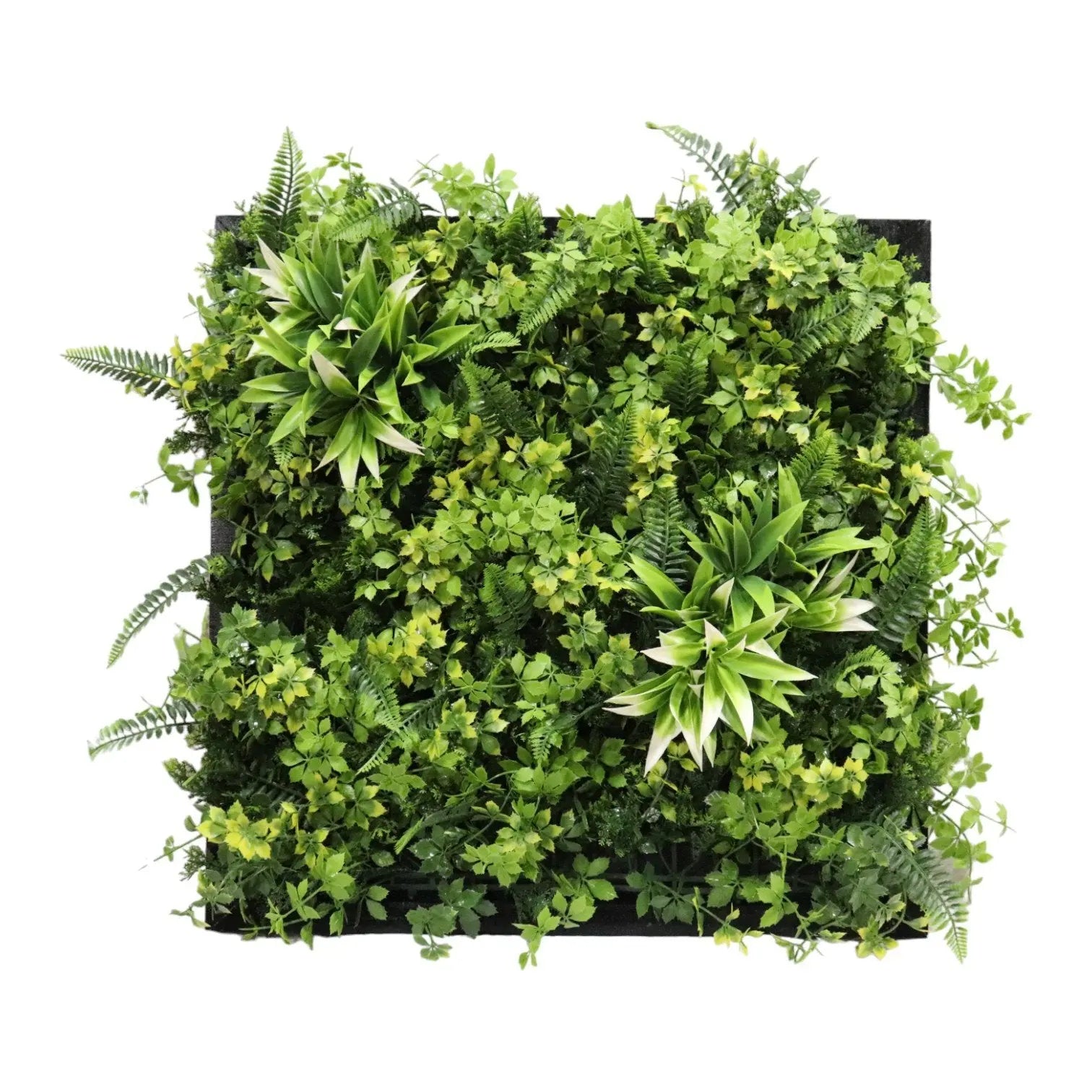 Early Spring Vertical Frame (57*57 cm) My Store