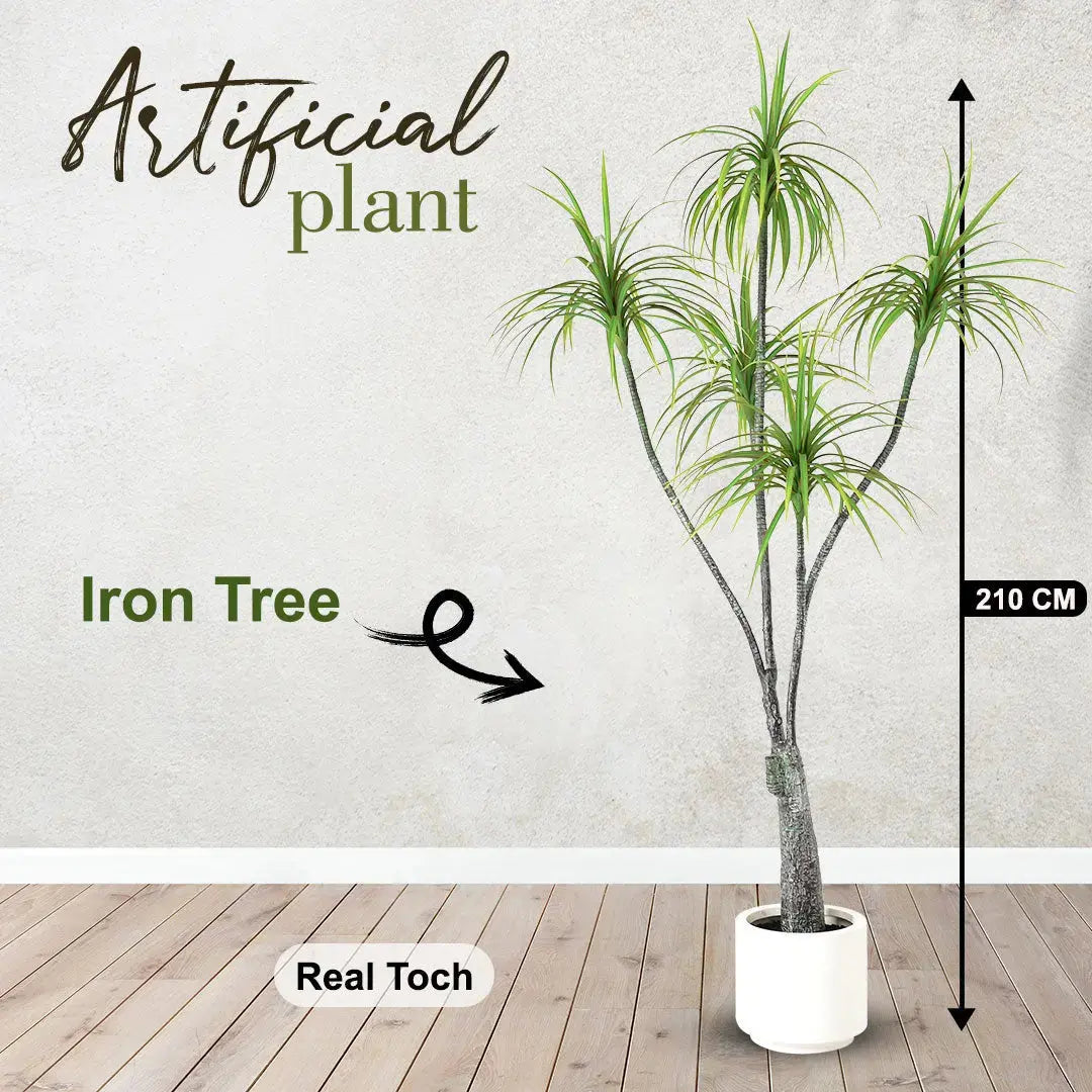 Artificial Iron Tree – 210 CM | Indoor Decorative Tree Enutrof Decor