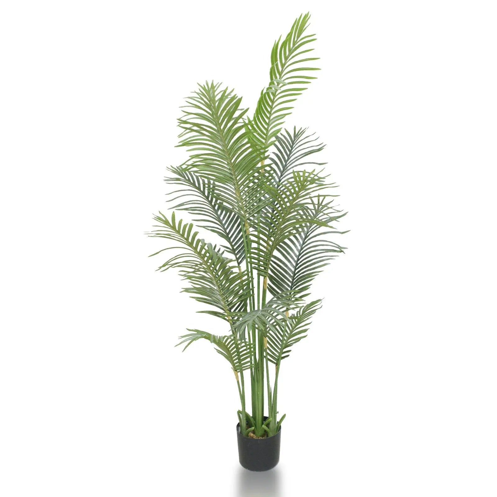 Palm Artificial Plant With Basic White Pot|| 180cm Height My Store