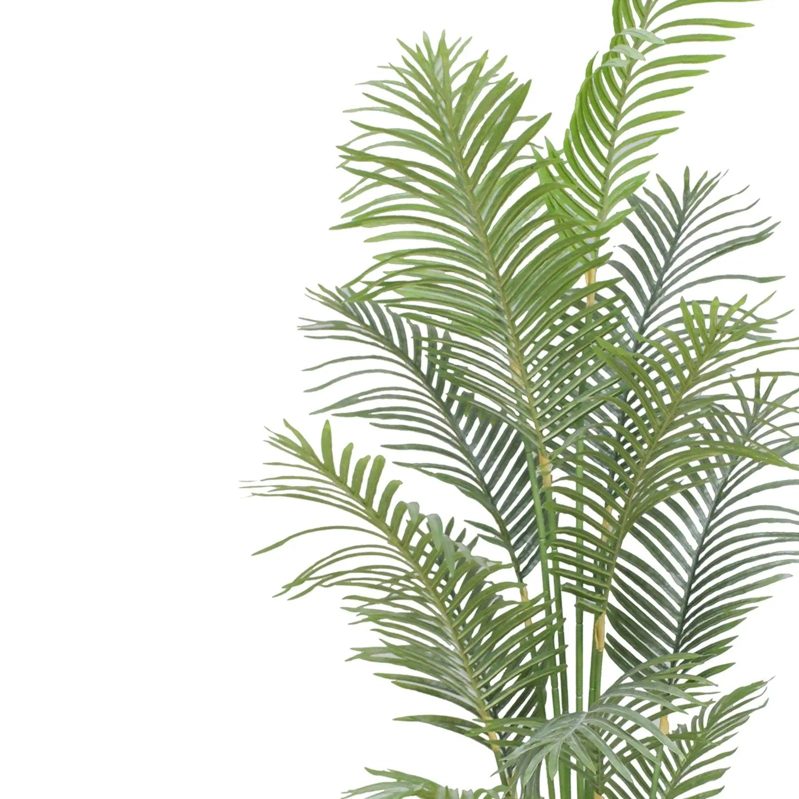 Palm Artificial Plant With Basic White Pot|| 180cm Height My Store