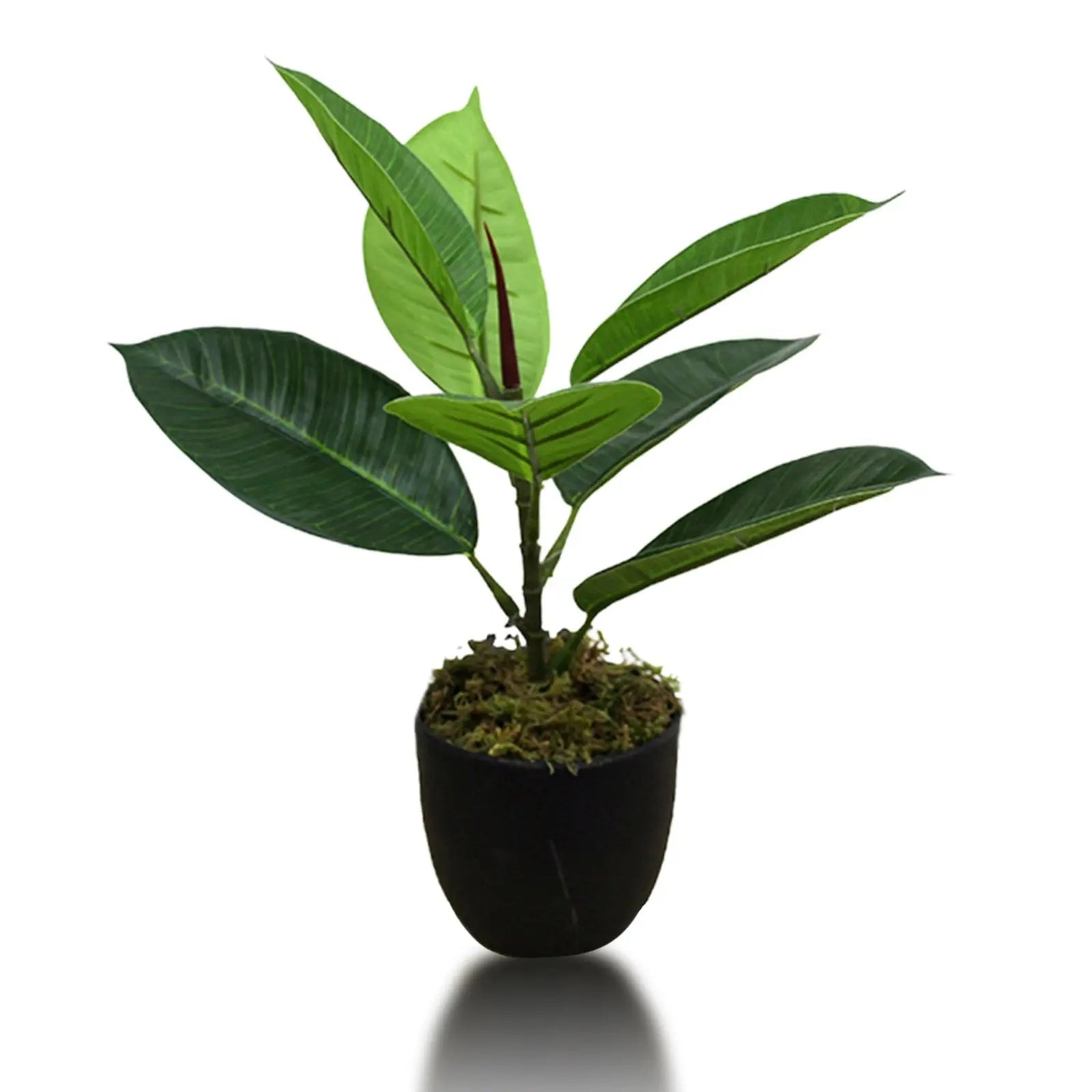 Rubber Real Touch Artificial Plants (Pack of 3, 30 cm) My Store