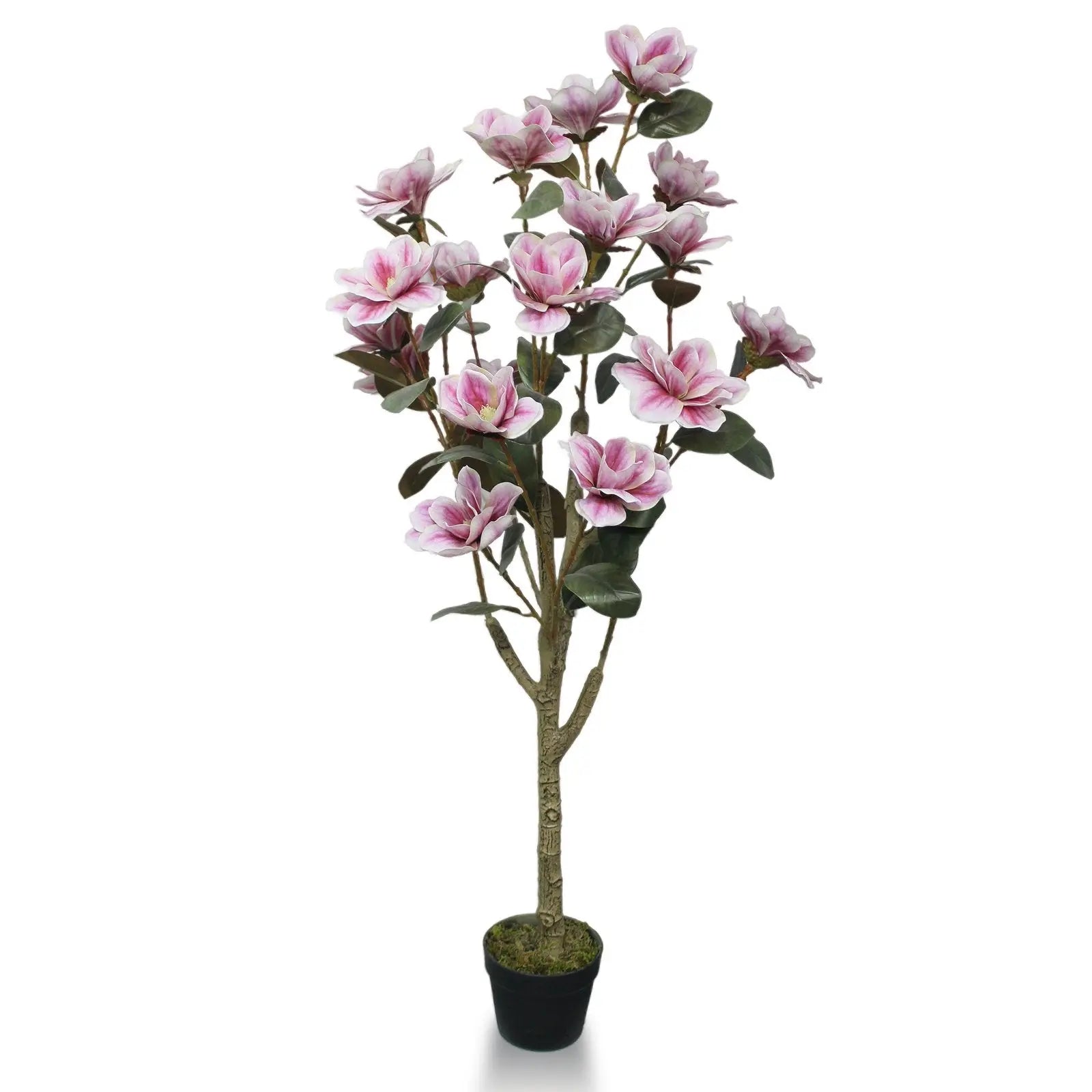 Mangolia Flower Tree Artificial Plants With Basic White Pot ||130cm Height My Store