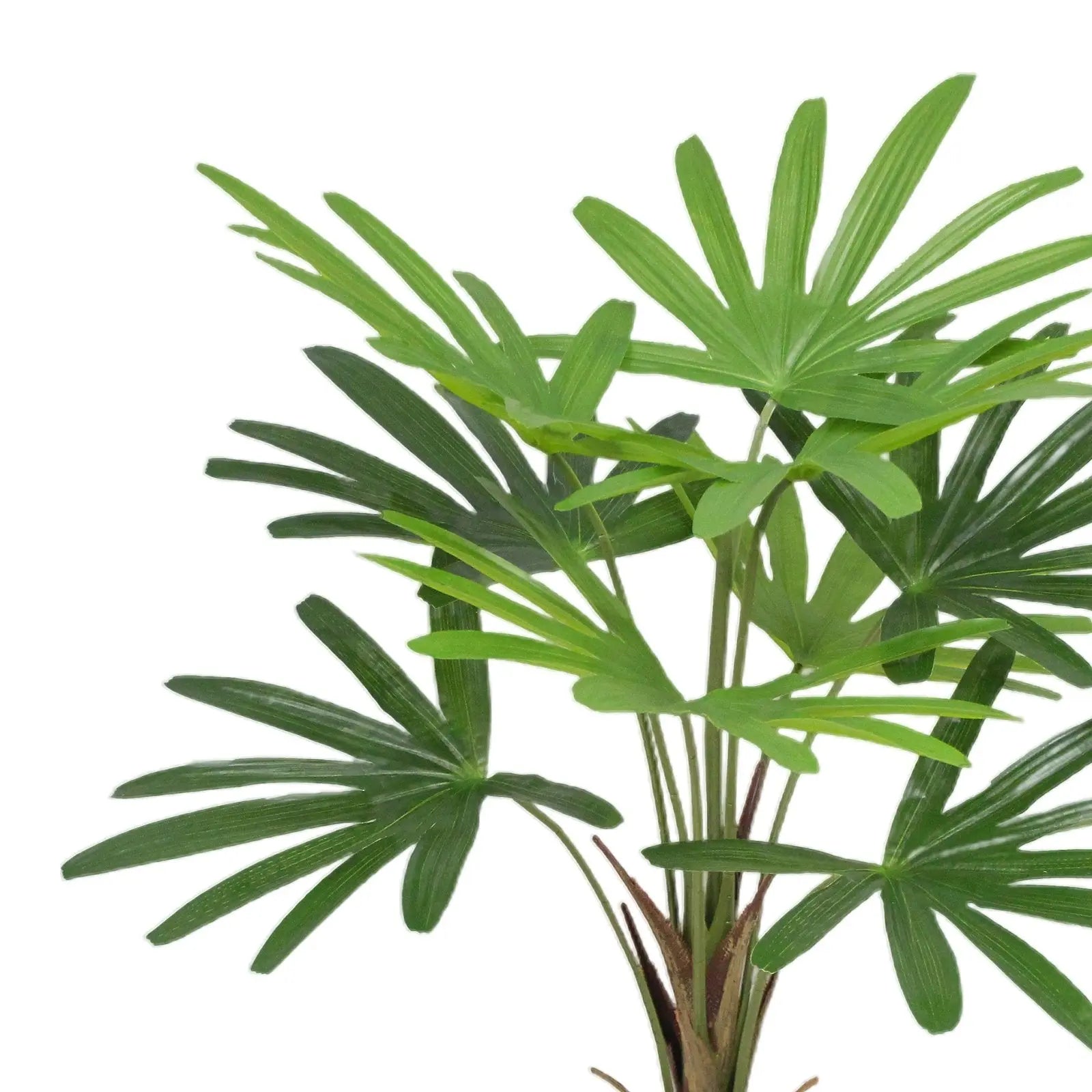Finger Palm Artificial Plants With Basic White Pot ||80cm Height My Store