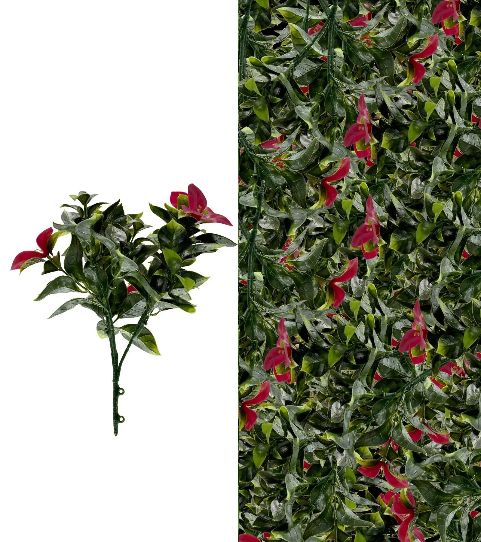 Gardenia Red Pot Plant | Pack of 3 My Store