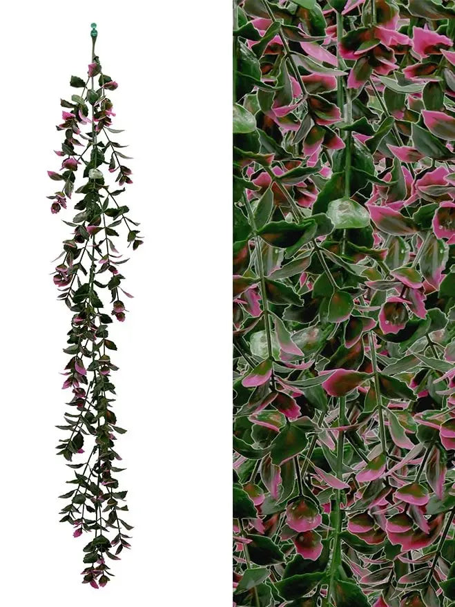 Pachysandra Hanging Leave (Pack of 3) My Store