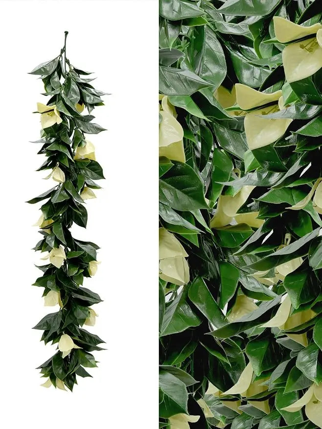 Podocarpus Nagi Hanging Leave (Pack of 3) My Store
