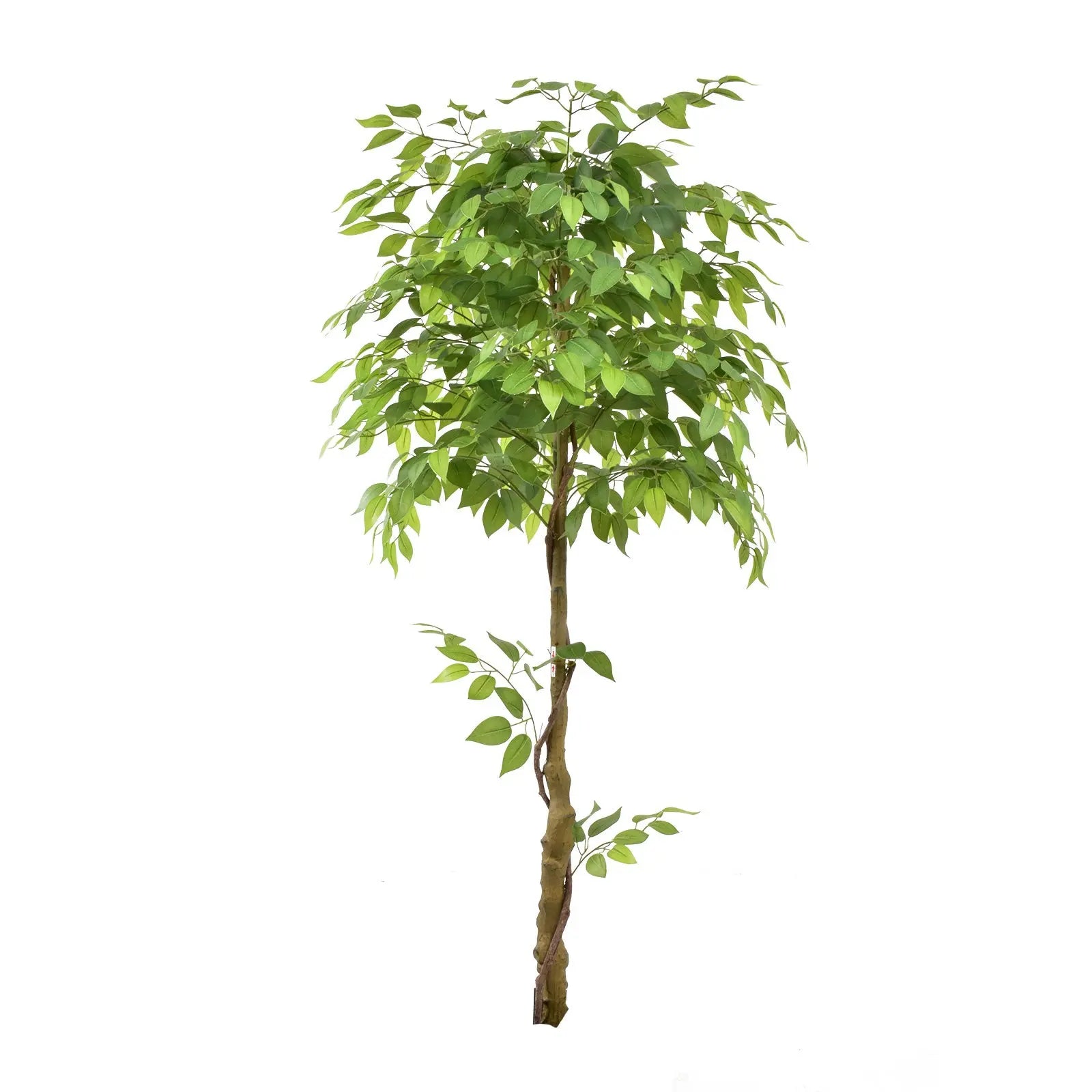 Premium 6ft Artificial Ficus Tree – Lifelike Indoor Decorative Plant (180 cm) Enutrof Decor