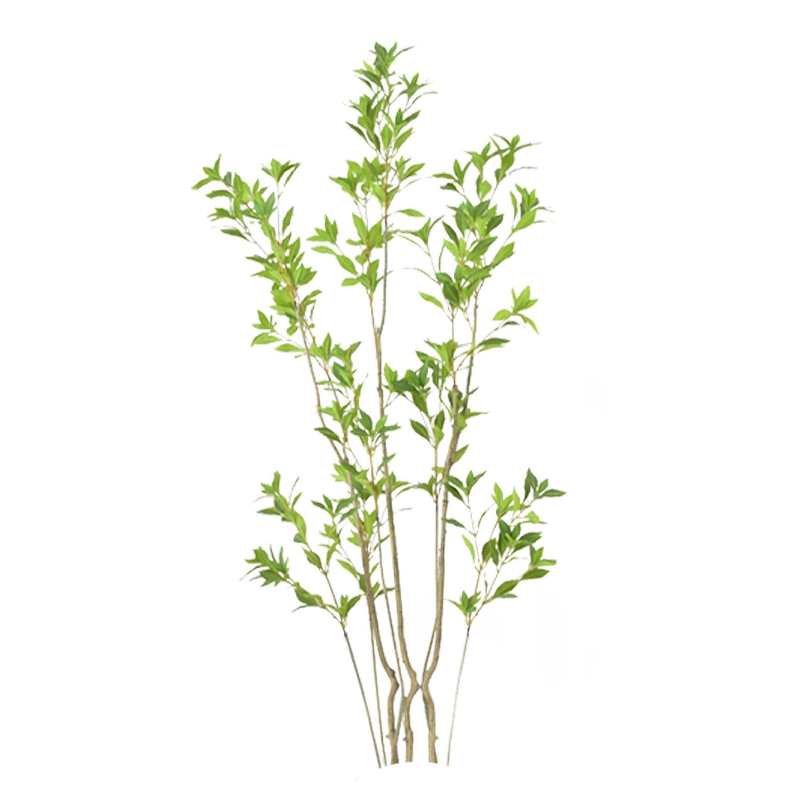 Pieris Artificial Plant – 180 CM | Indoor Decorative Green Plant Enutrof Decor