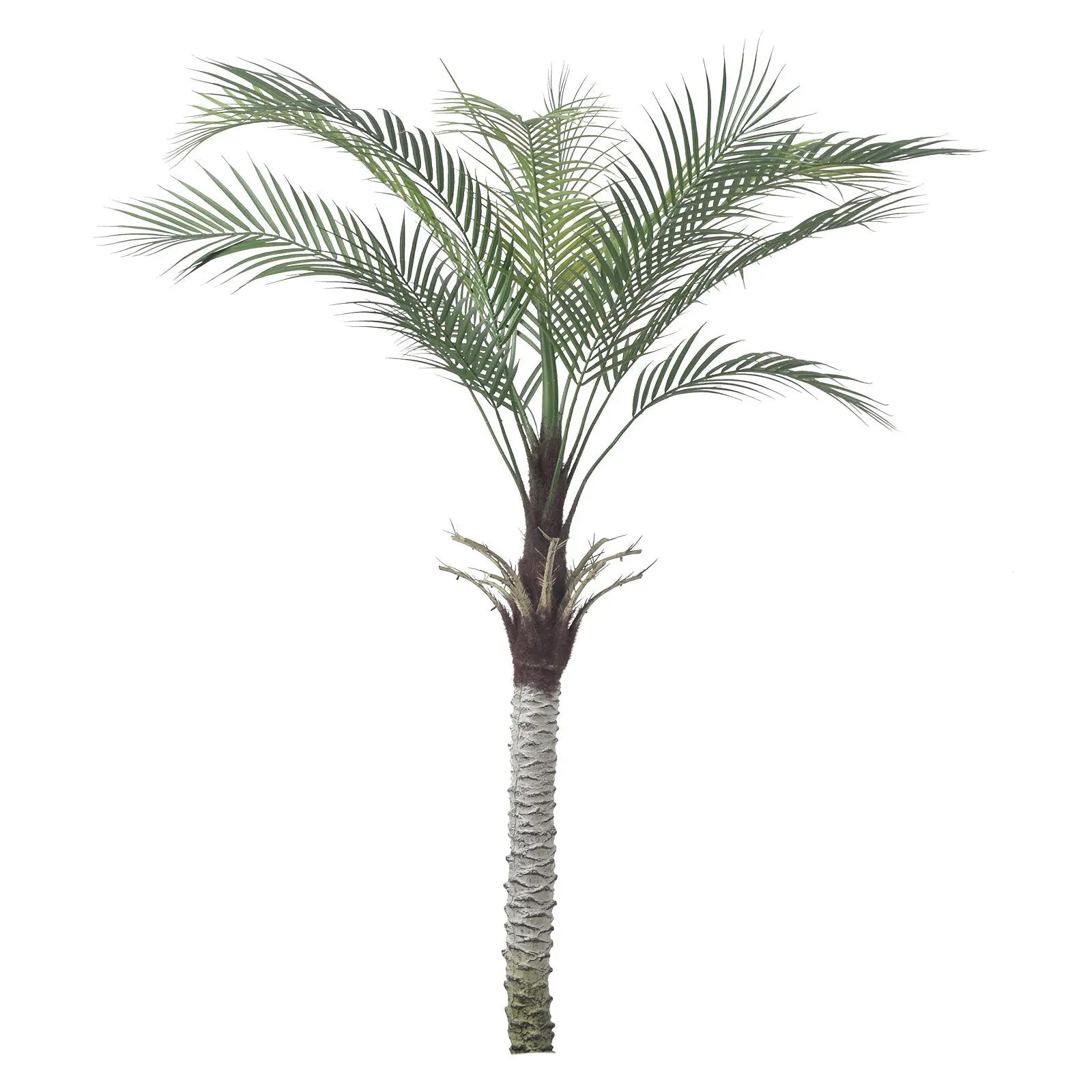Artificial Palm Tree – 150 CM | Indoor - Outdoor Decor Enutrof Decor
