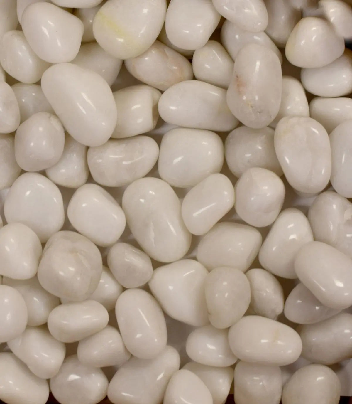 White Polished Pebbles | Premium Decorative Stones for Home & Garden Enutrof Decor