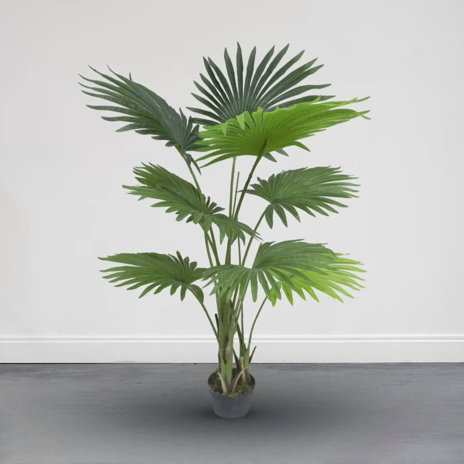 Fan Palm Artificial Plants With Basic White Pot ||120cm Height My Store