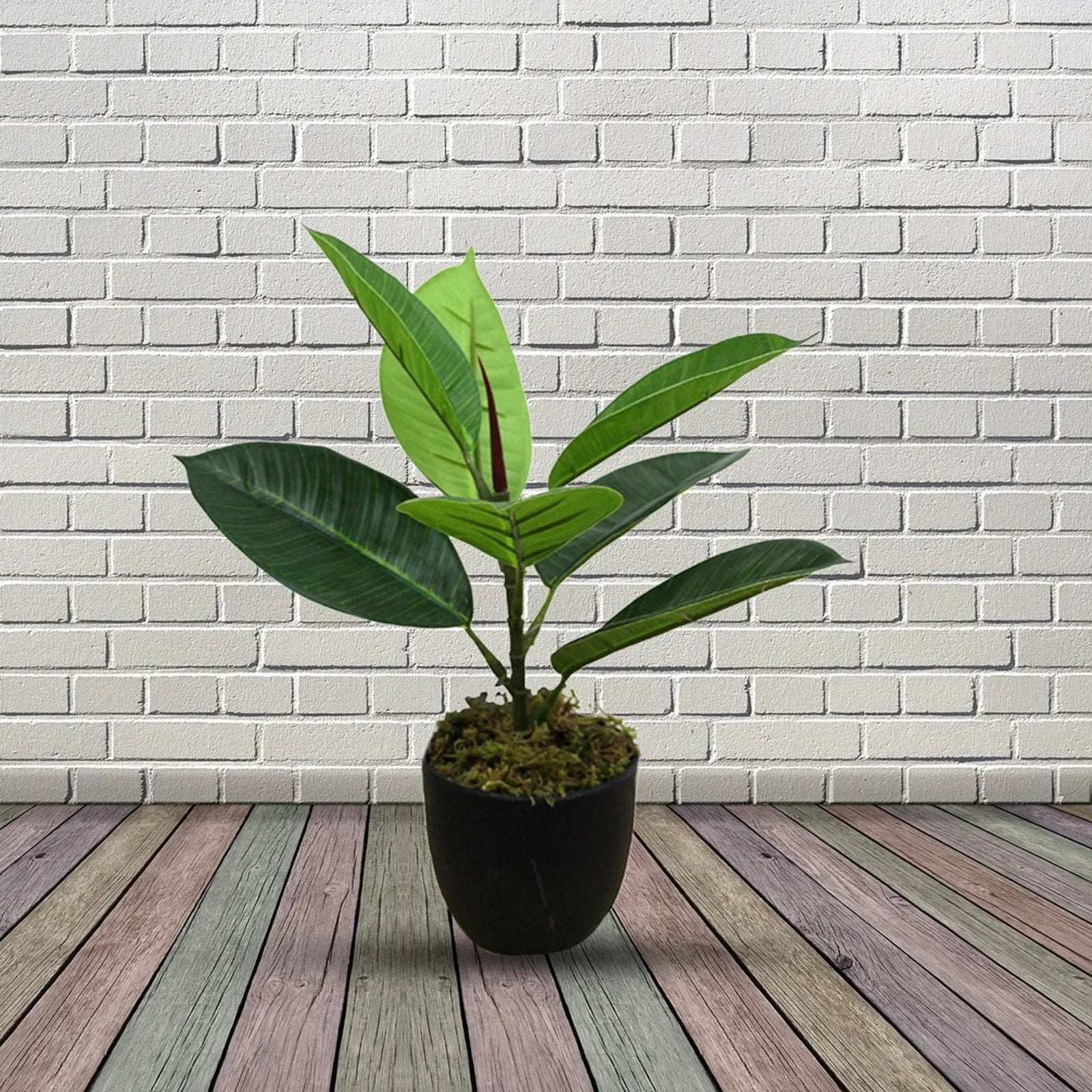 Rubber Real Touch Artificial Plants (Pack of 3, 30 cm) My Store