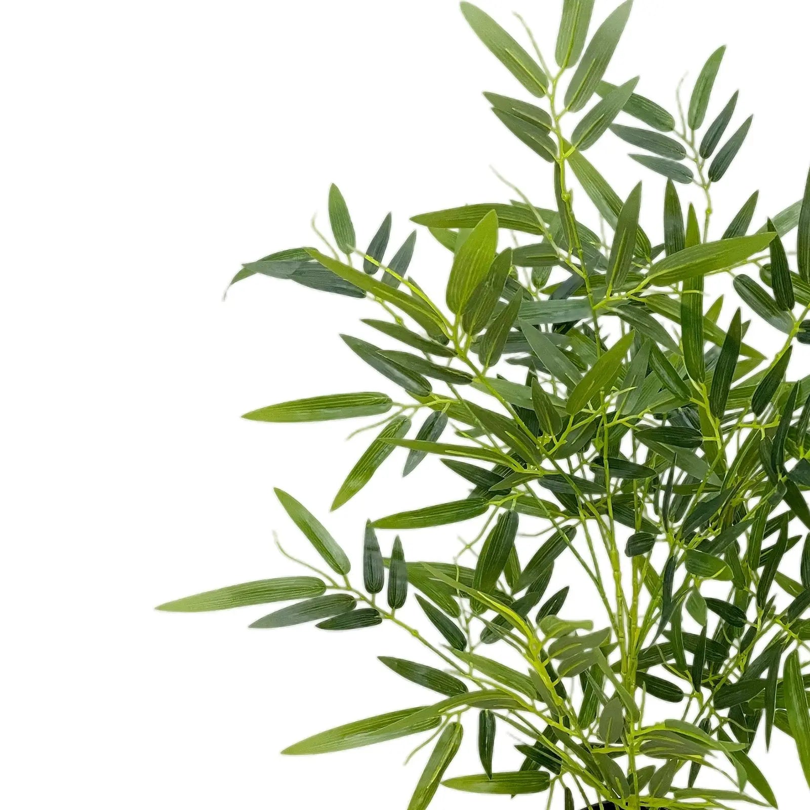 Bamboo Artificial Plant With Basic White Pot || 60cm Height My Store