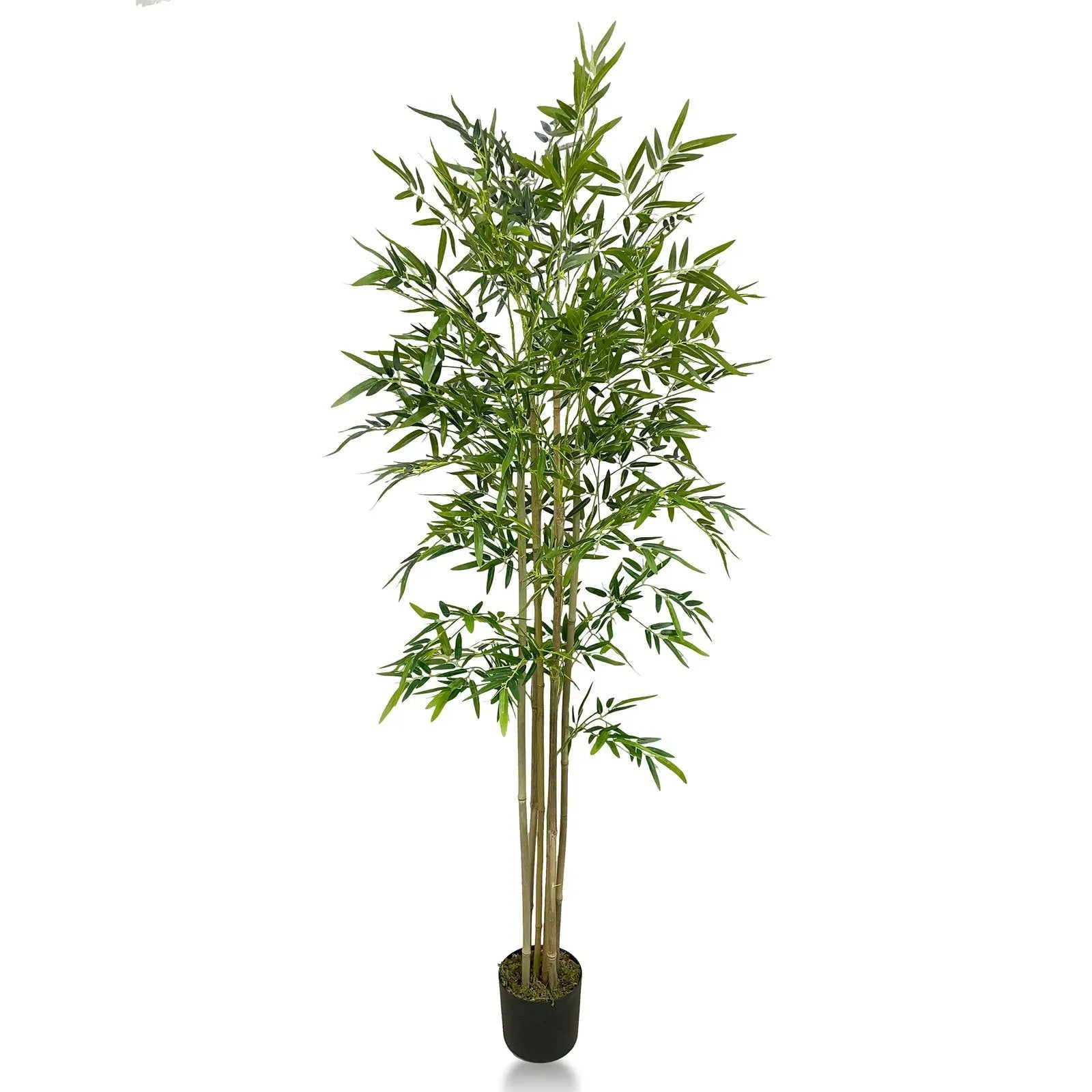Bamboo Artificial Plant  With Basic White Pot || 180cm Height My Store