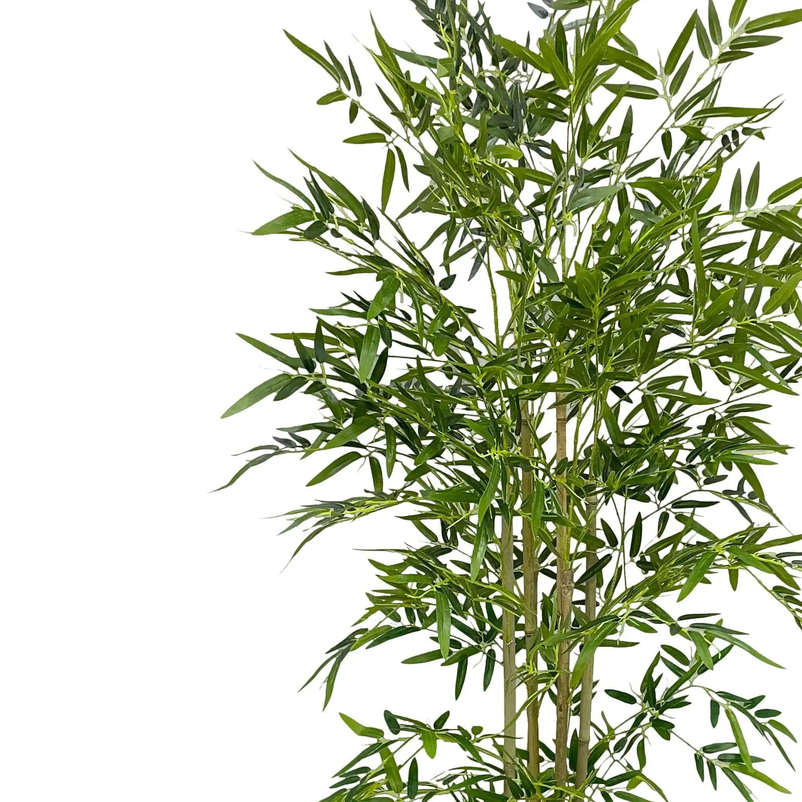 Bamboo Artificial Plant With Basic White Pot || 180cm Height My Store